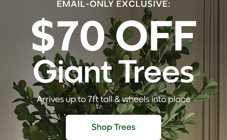 $70 OFF Giant Trees