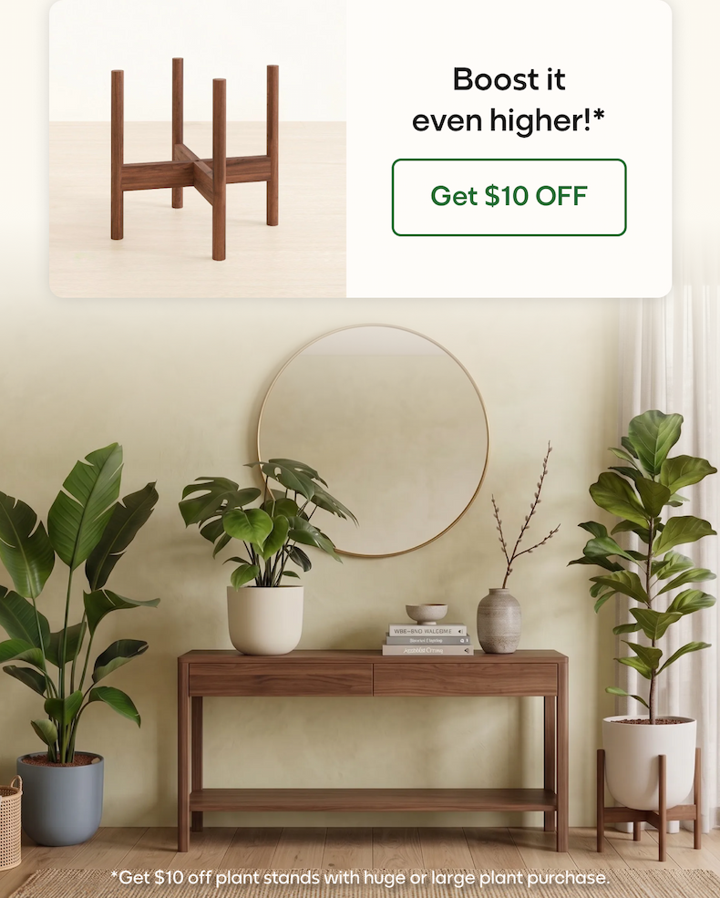 Boost it even higher!