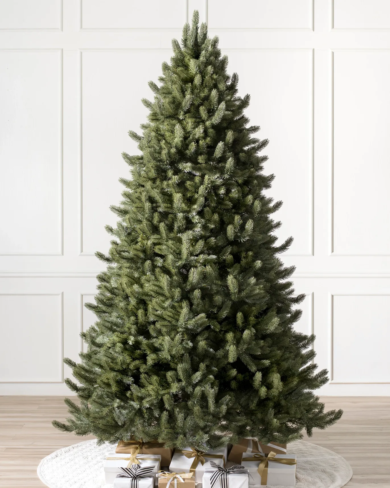 Image of Vermont White Spruce®
