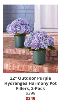 Product Recommendation 3