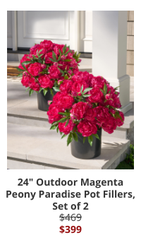 Product Recommendation 2