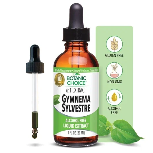Gymnema Sylvestre
