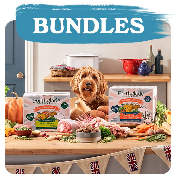 Shop Bundles