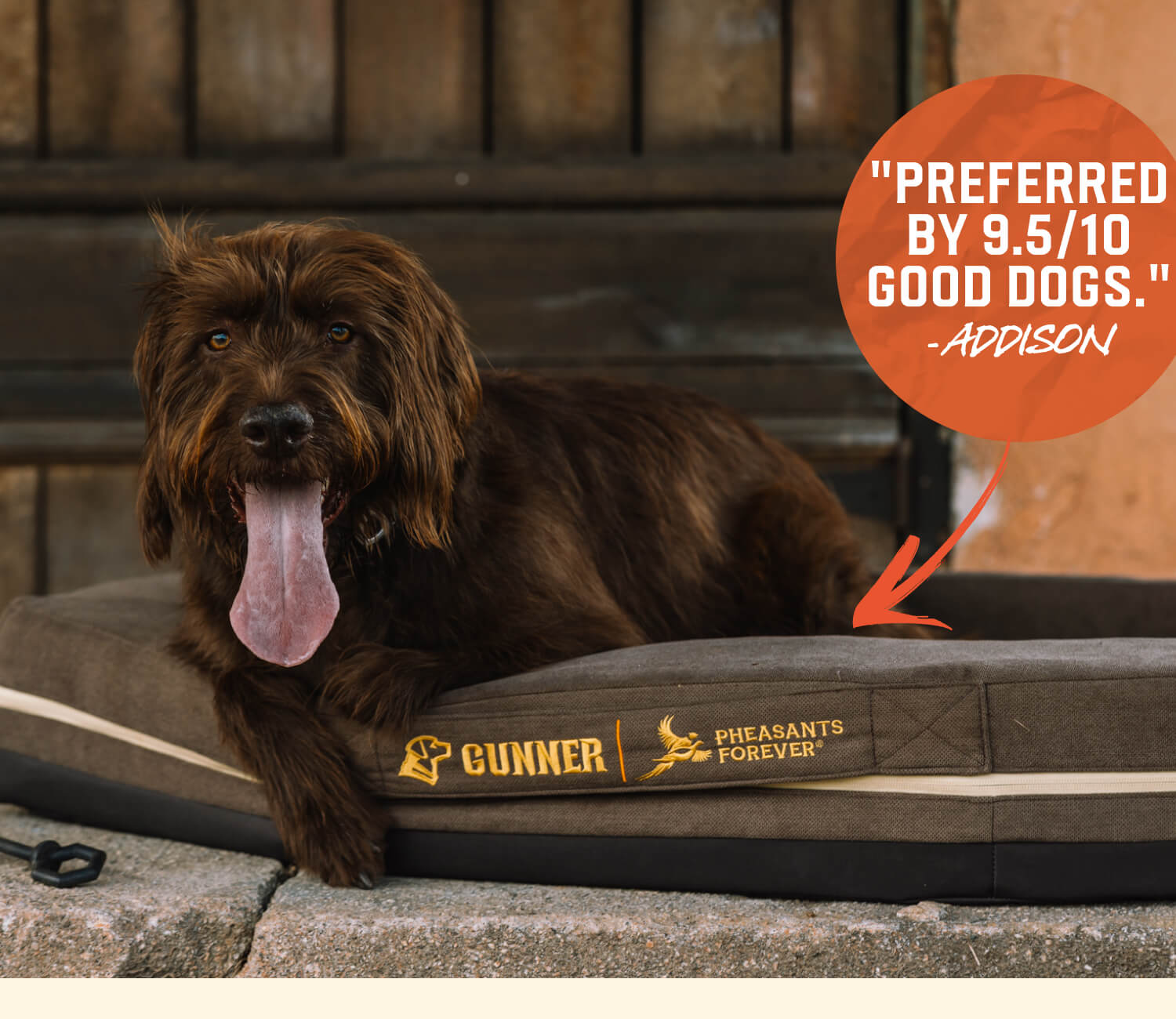 "Preferred by 9.5/10 good dogs." - Addison