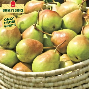 Crisp 'n Sweet™ Pear Tree