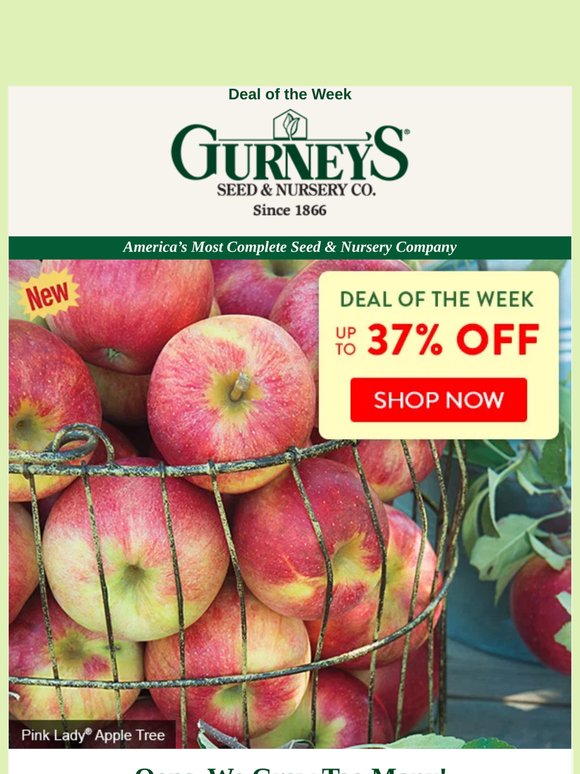 Deal of the Week: Up to 37% Off Fruit Trees