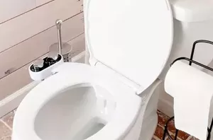 Spray WD-40 in your toilet for a useful hack we've never heard of