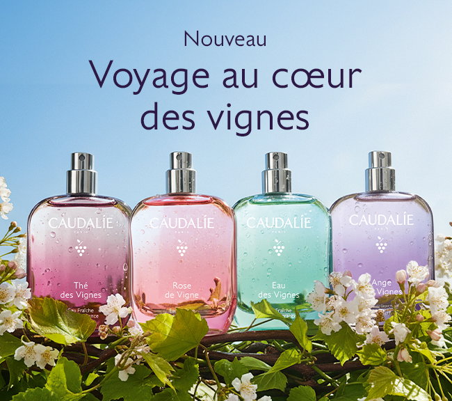 Voyage au cœur des vignes