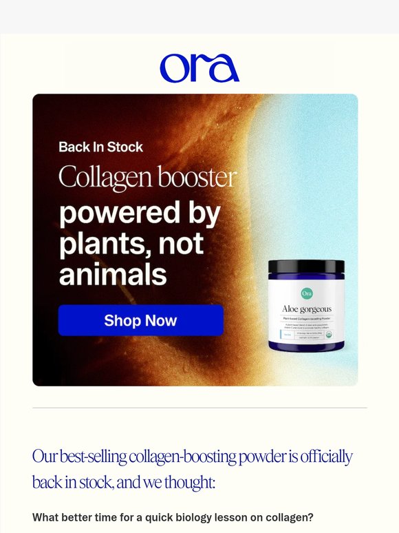 It’s back: Best-selling Collagen Booster