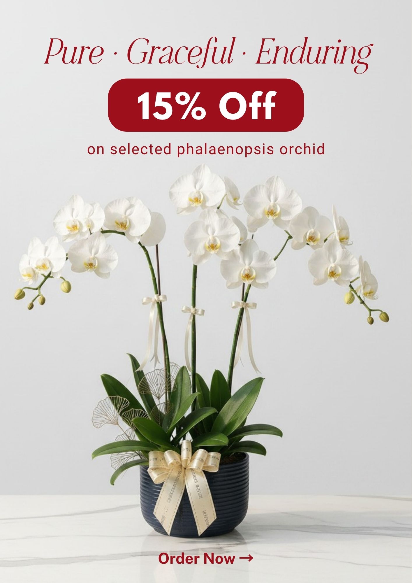 Mother's Day Collection