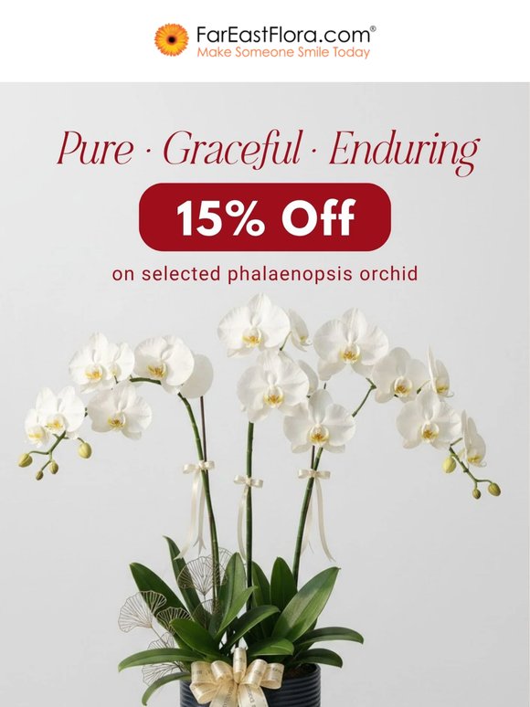 It's here — 15% off selected Phalaenopsis Orchids