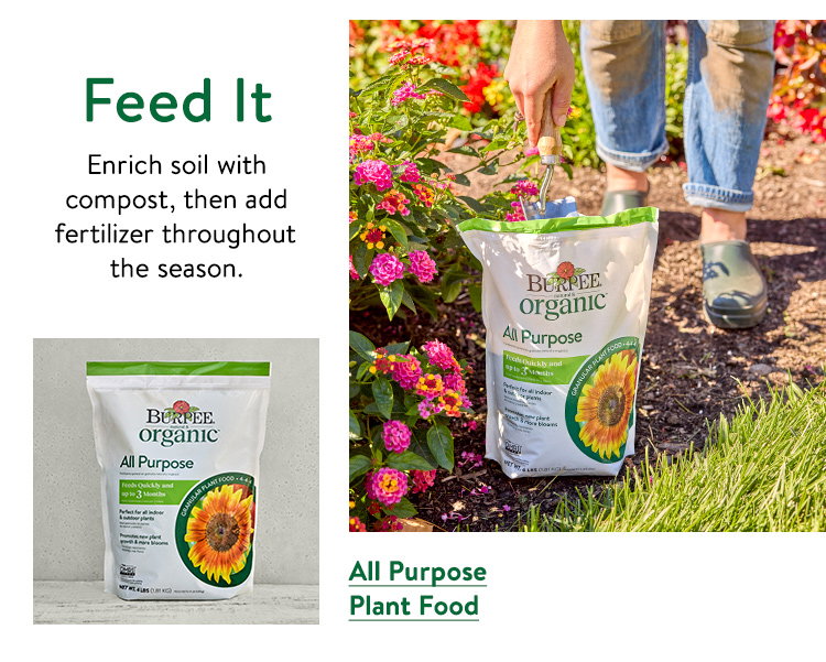 Burpee Natural Organic All Purpose Granular Plant Food 4-4-4