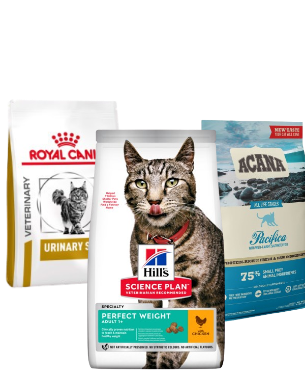 packshot