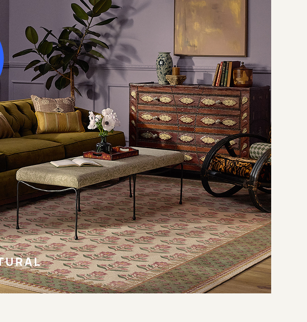 Sundara Natural & Blush Rug 