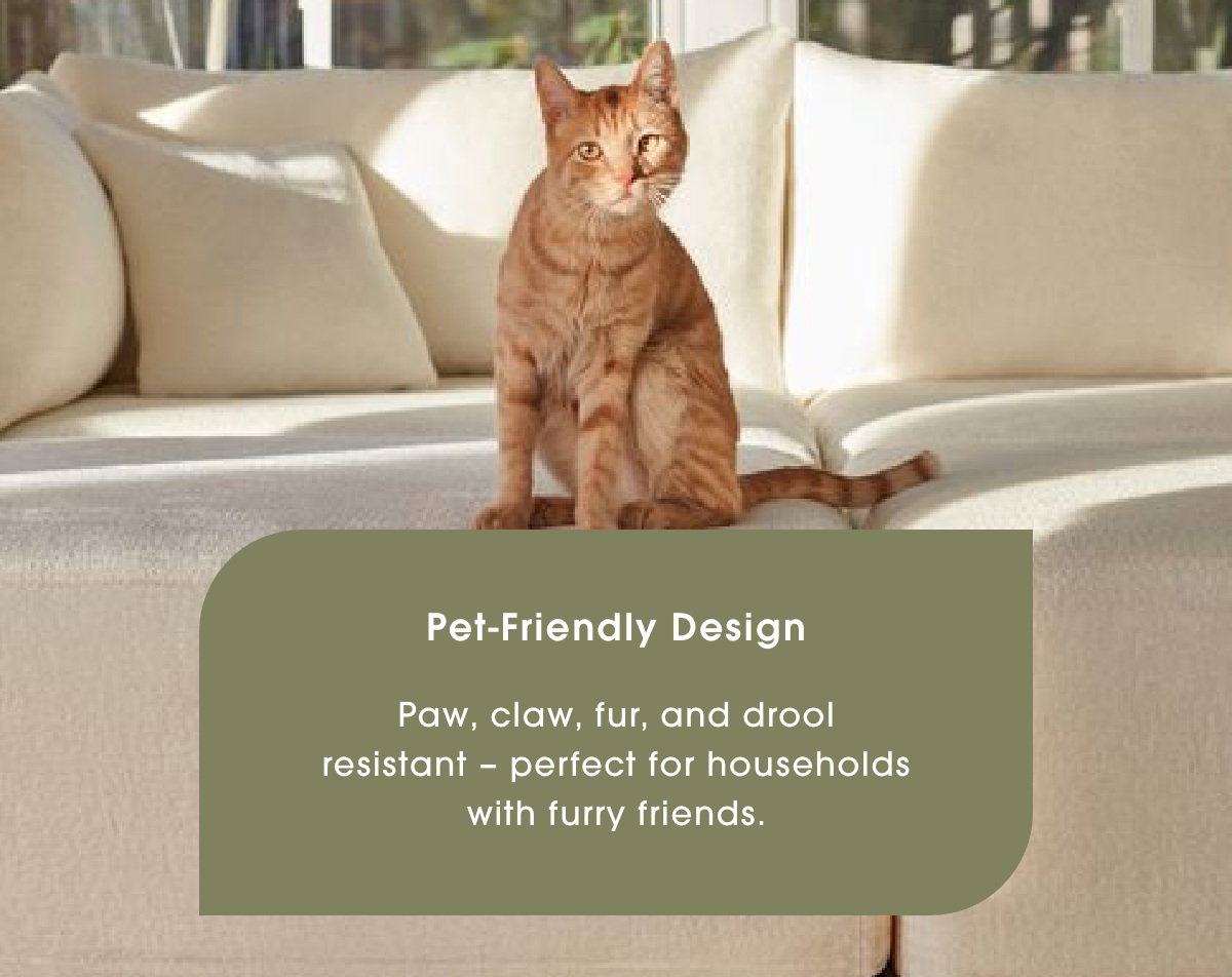Pet Friendly Design