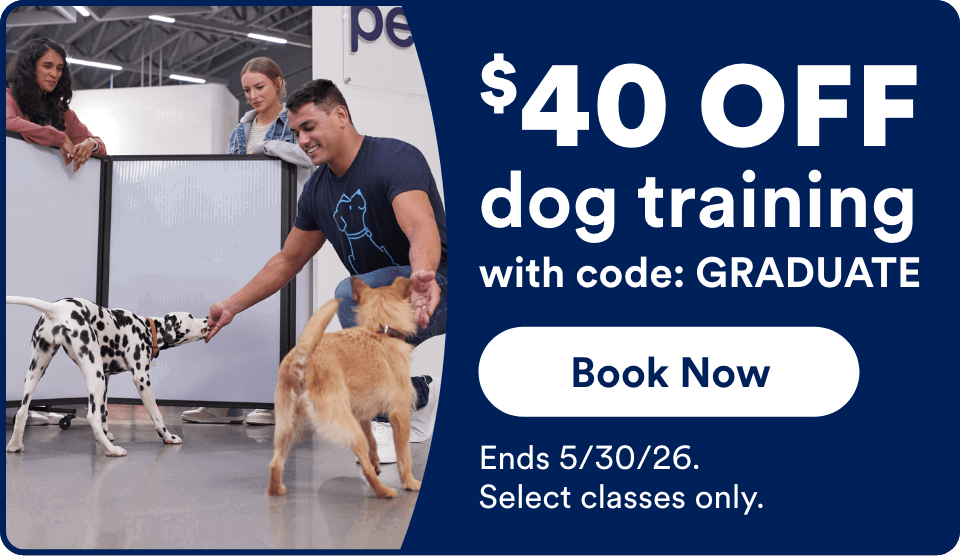 $40 OFF dog training with code: GRADUATE Book Now! Ends 5/30/26. Select classes only.