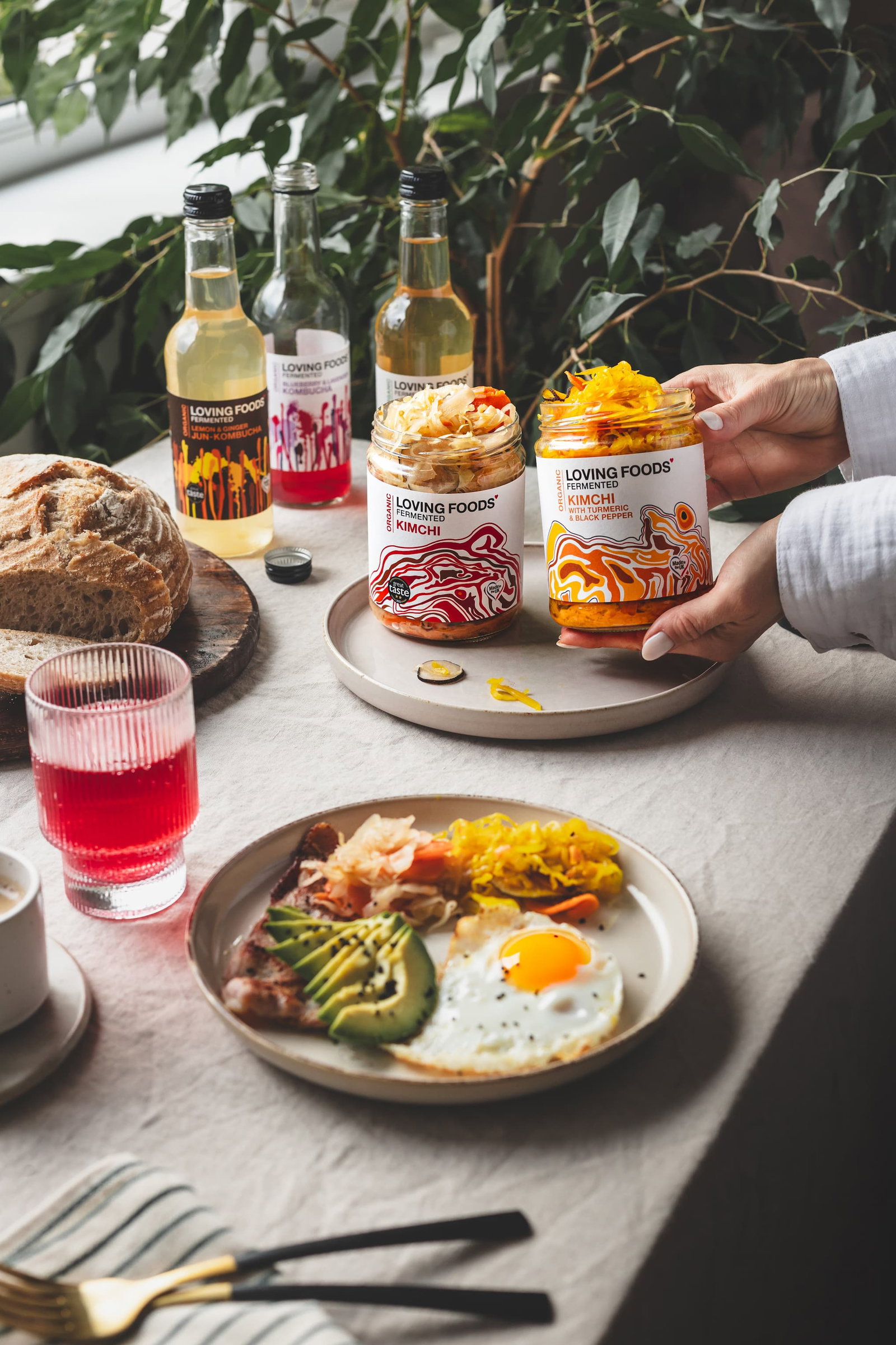 Organic fermented foods