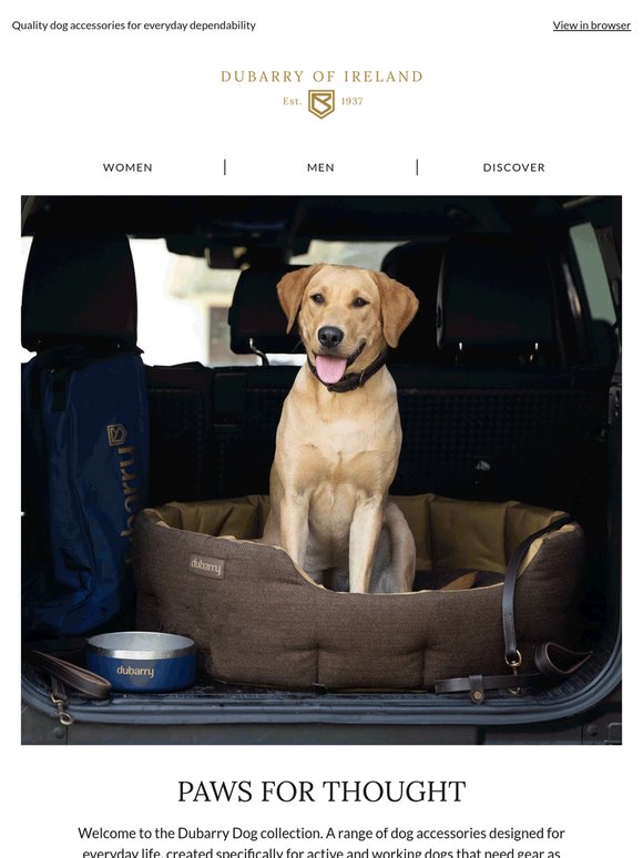 The dog days are over. Fetch!