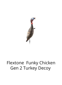 Product Recommendation 1