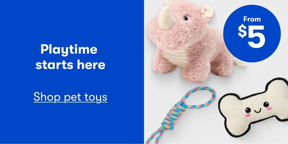 From $5 | Playtime starts here | Shop pet toys