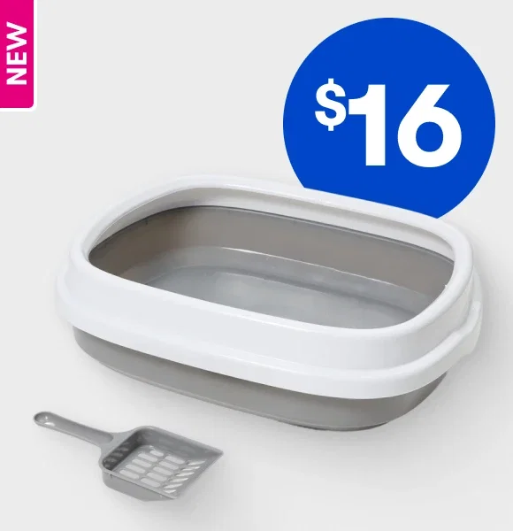 $16