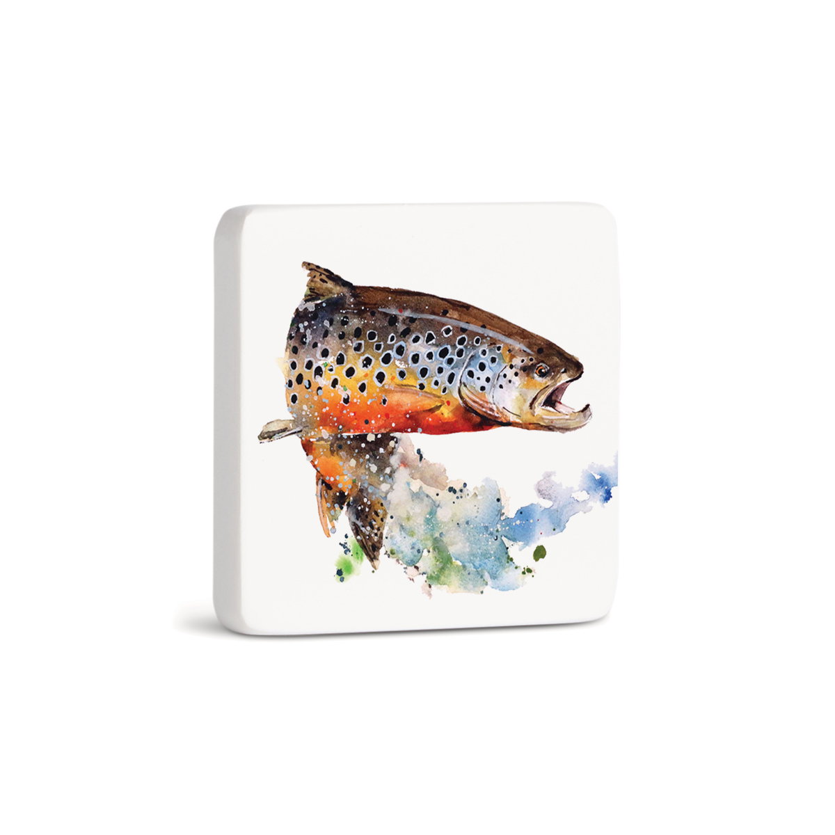 DC Brown Trout Magnet - Bone