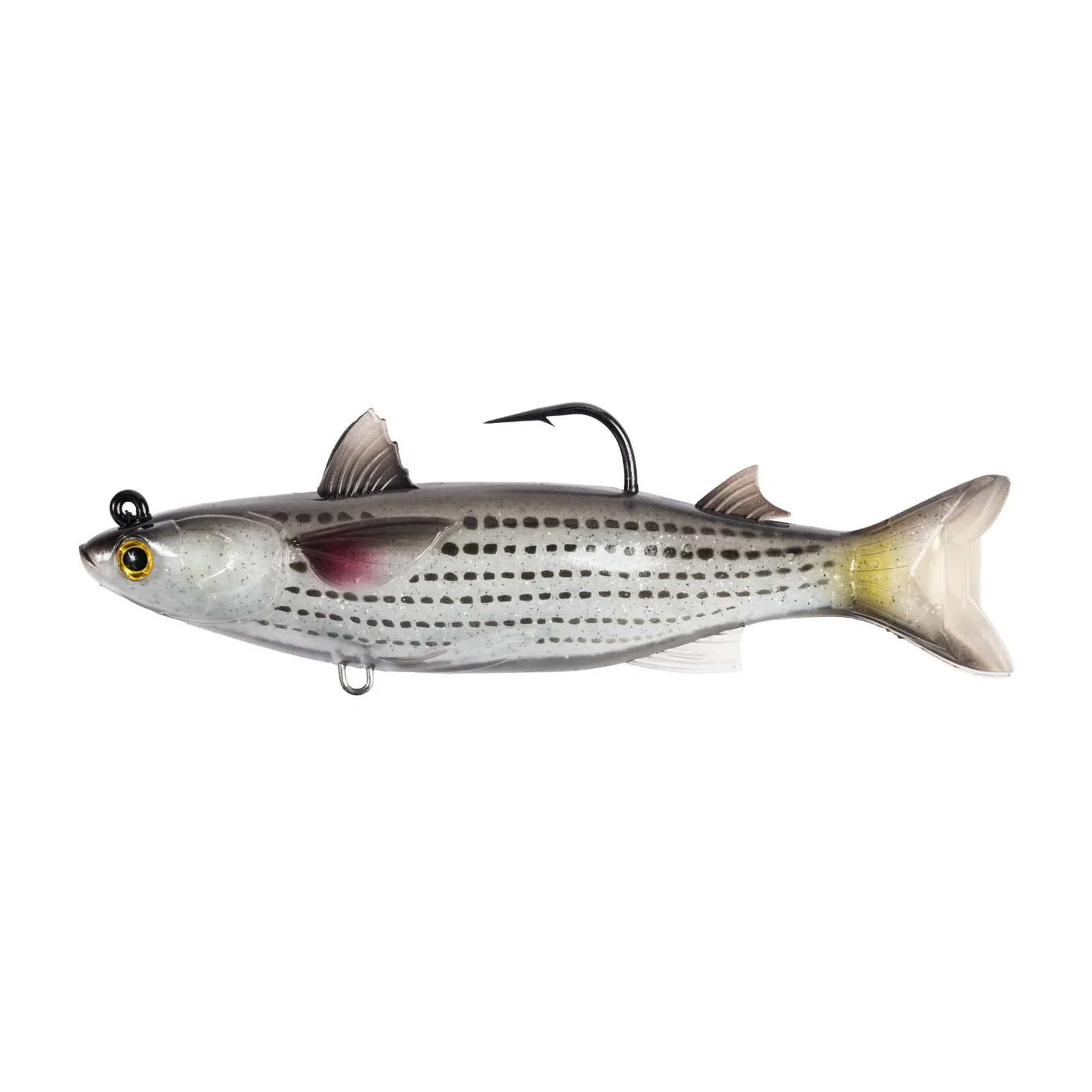 Image of Mullet Swimbait