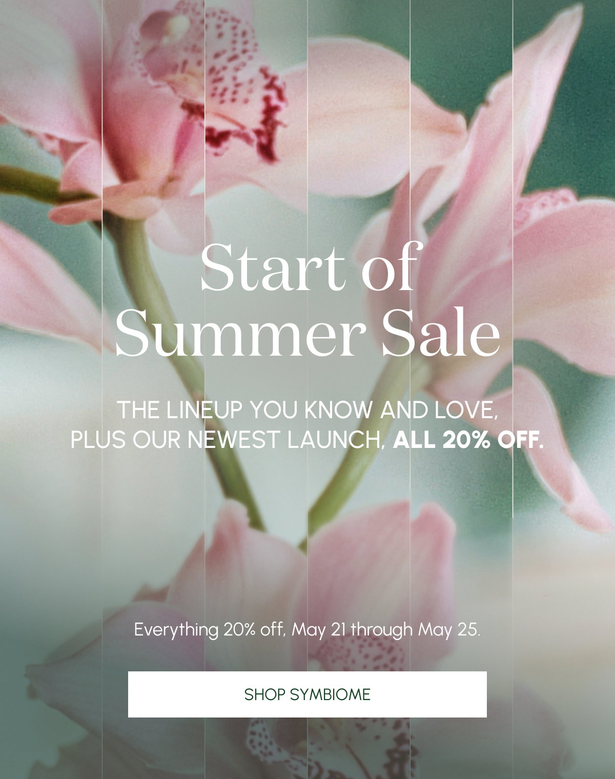 Shop The Sale
