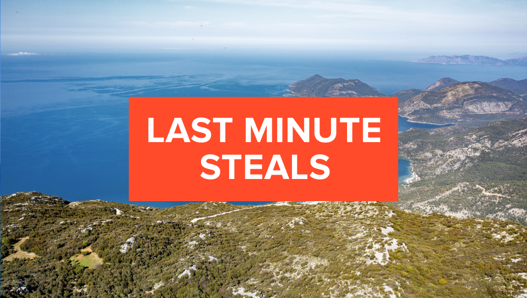 Last Minute Steals