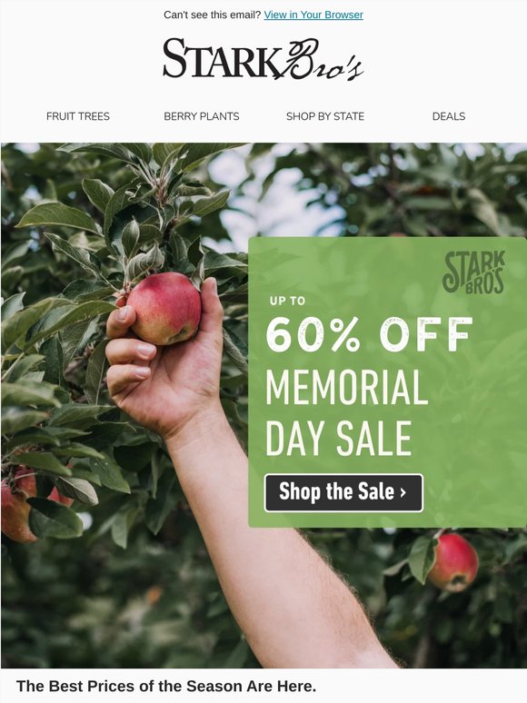 🍎 The Best Prices of the Season Are Happening Right Now
