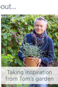 Talking inspiration from Tom's garden