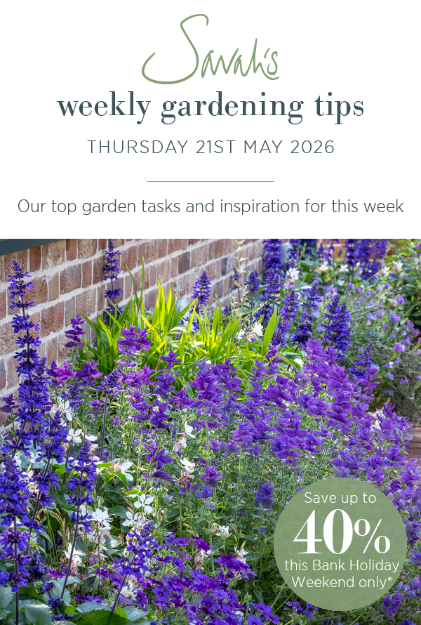 Sarah's weekly gardening tips. Thursday 21st May 2026. Our top garden tasks and inspiration for this week.