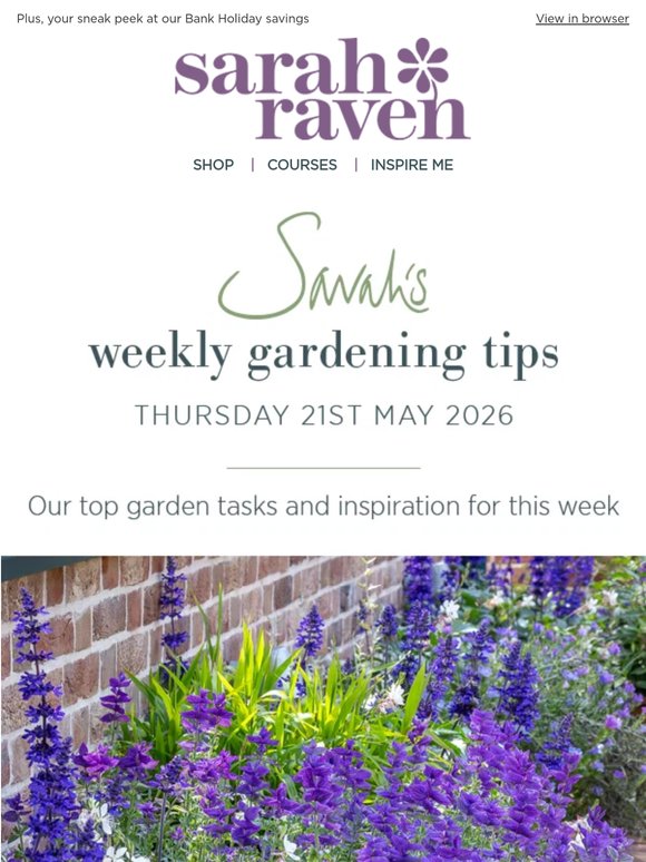 Sarah's weekly tips | Inspired by Chelsea