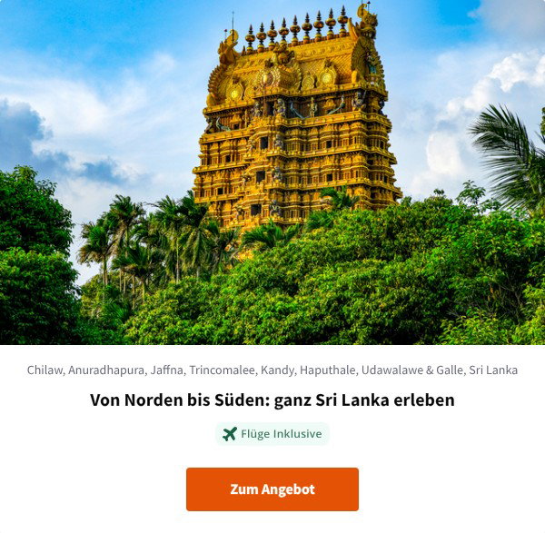Von Norden bis Süden: ganz Sri Lanka erleben