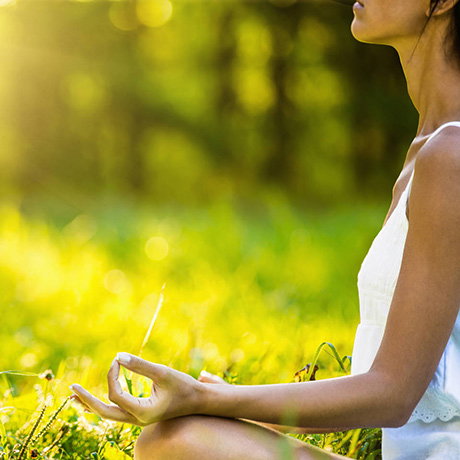 Meditation Diploma Course image