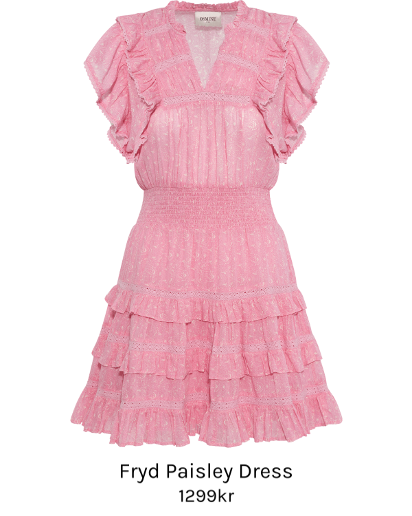 Image of Fryd Paisley Dress