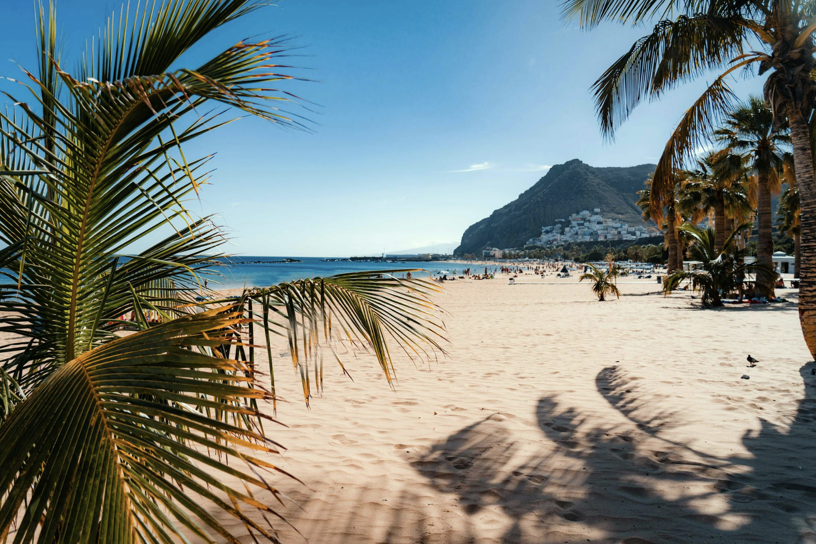 Tenerife: Vuelos + 7 noches hotel 4* por 183 euros