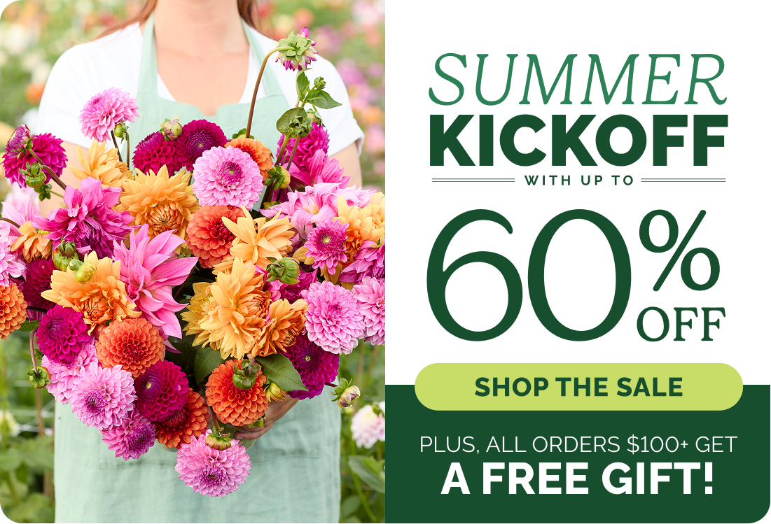 Summer Kickoff with up to 60% Off - Shop the sale - Plus, all orders $100+ get a free gift!
