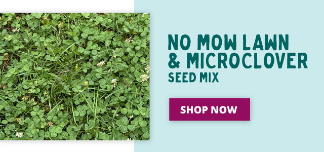 No Mow Lawn & Microclover Seed Mix
