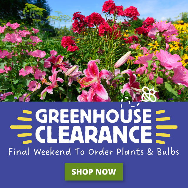 Final weekend to order plants for spring delivery