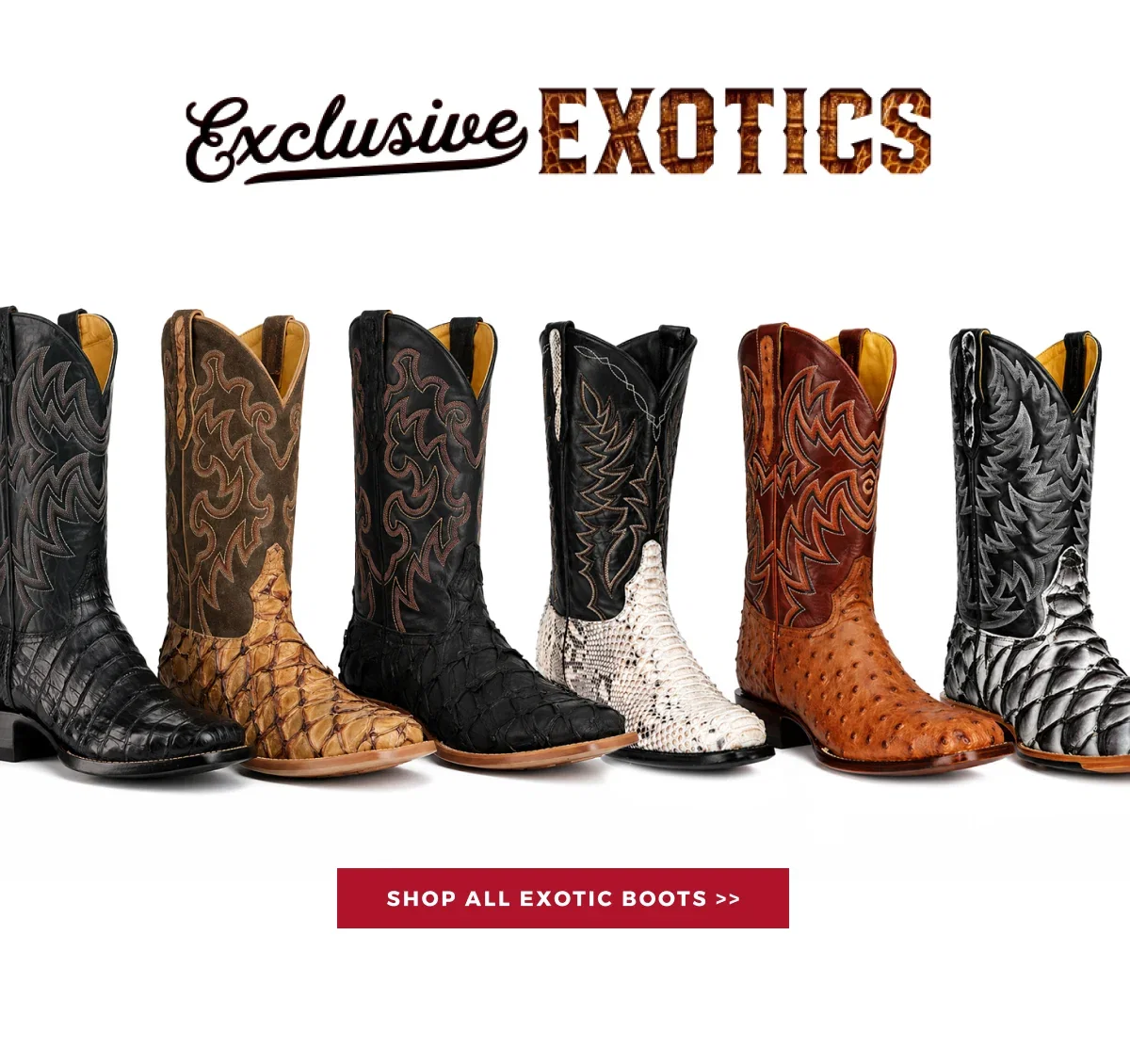 EXCLUSIVE EXOTICS >>