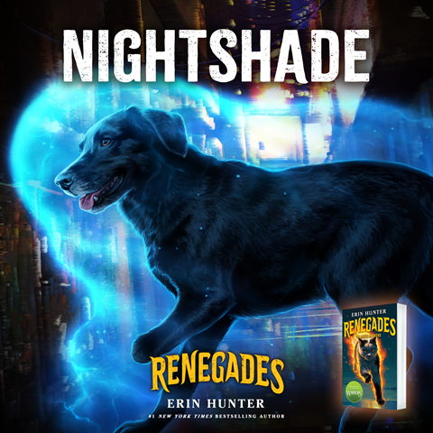 Nightshade: A black dog
