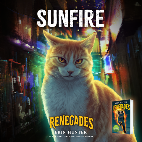 Sunfire: A ginger and white cat