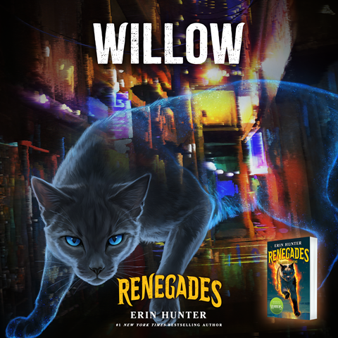 Willow: A grey cat that's slightly transparent