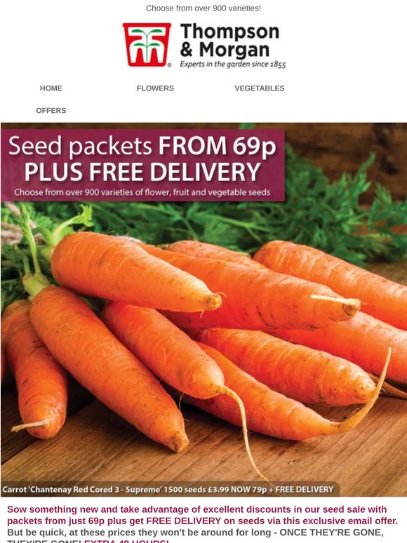 SEED PACKETS from 69p EACH + FREE DELIVERY! EXTRA 48 HOURS!