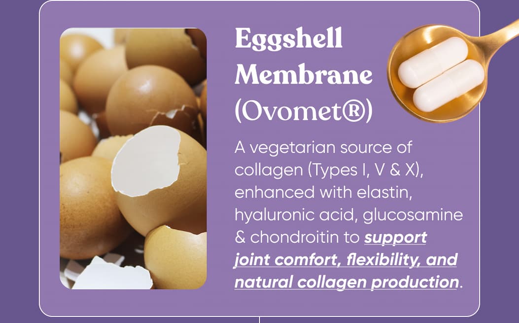 Eggshell Membrane (Ovomet®)