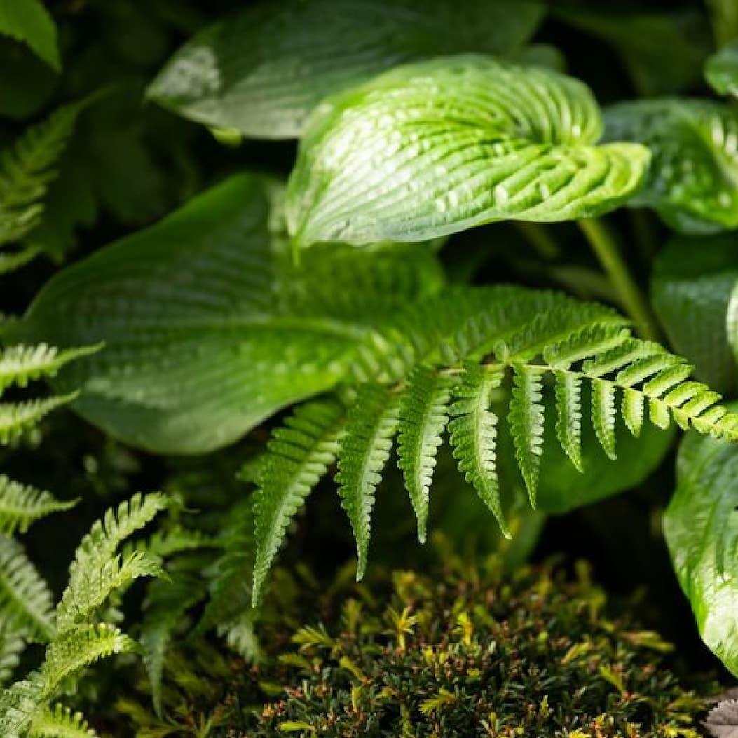 Green is a colour
