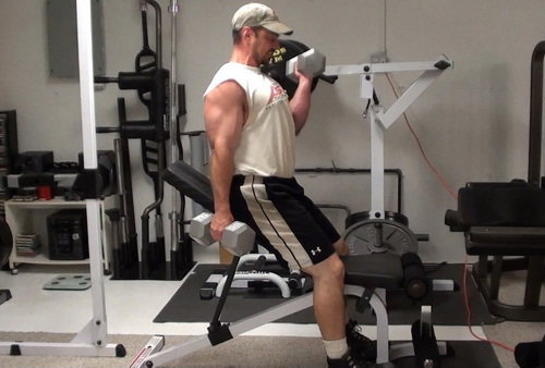 Alternating Dumbbell Curls