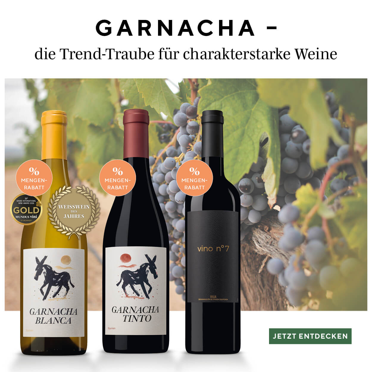 Banner Visual 3 Garnacha-Weine