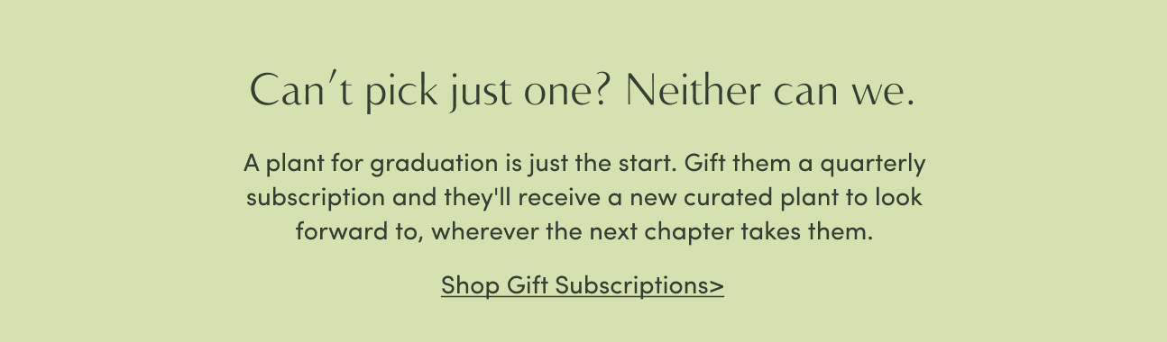 shop gift subscriptions